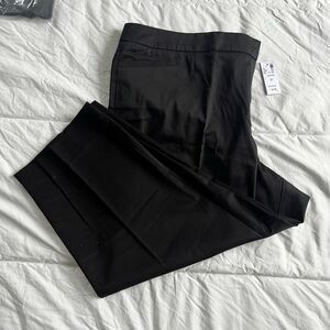 Avenue capri pants black 20 nwt
